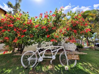 41 - JARDIM - Fotos Águas de Bonito - 168
