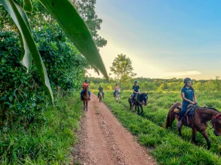 725064196664c87778a9575.18721347